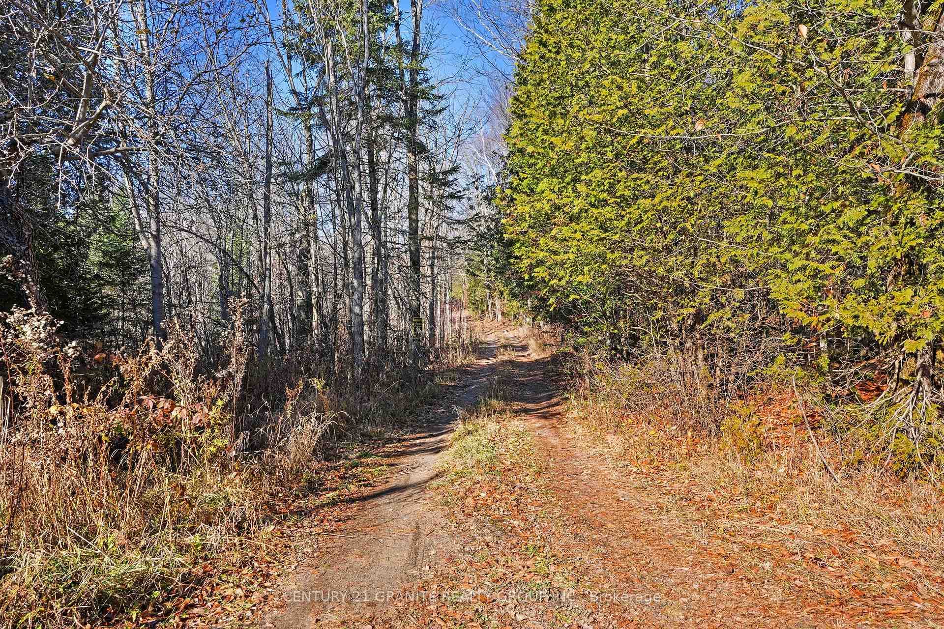 790 McDonald Mine Road photo 10
