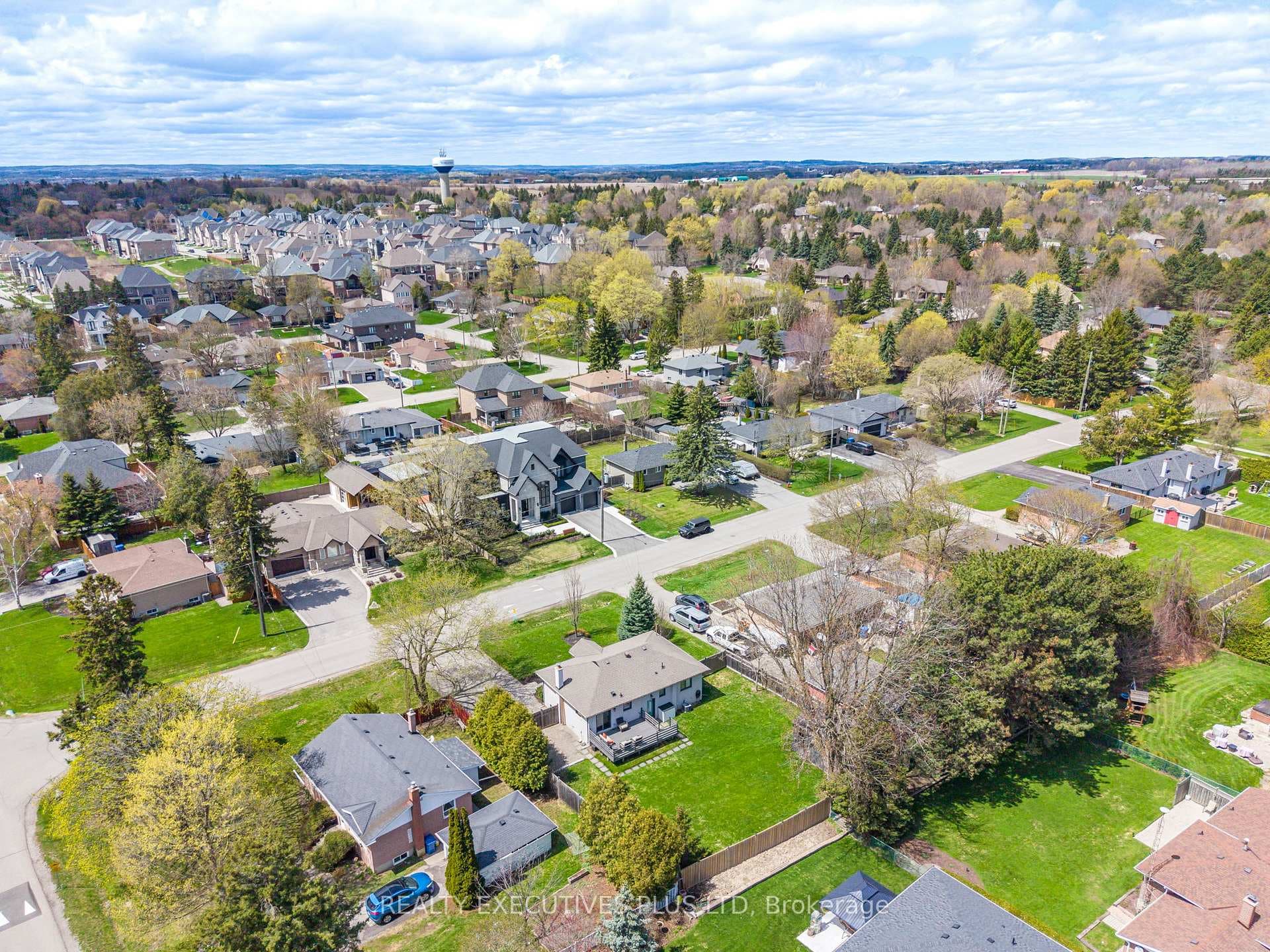 9 Hazelbury Drive photo 3