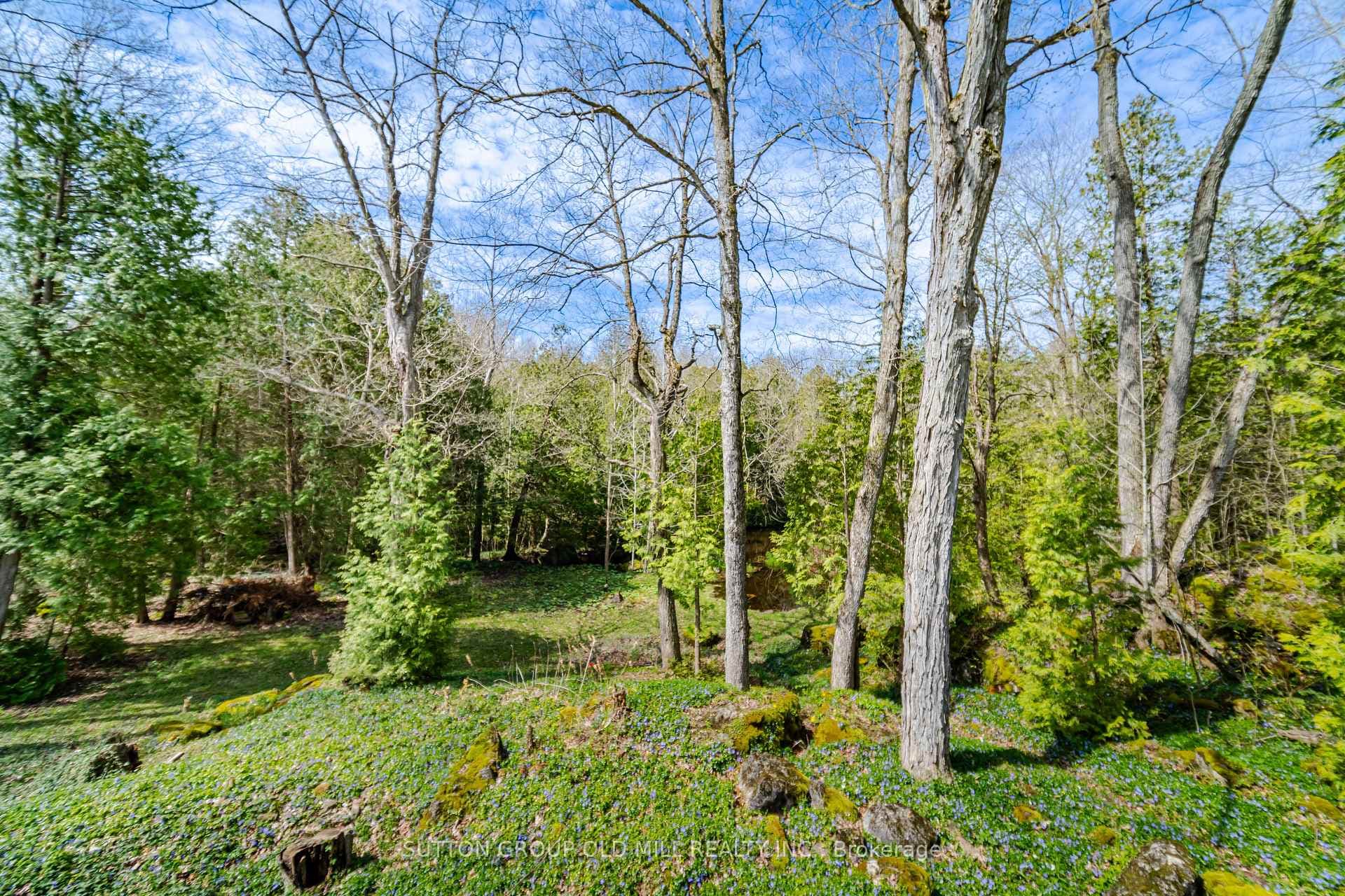 1311 Conservation Road photo 15