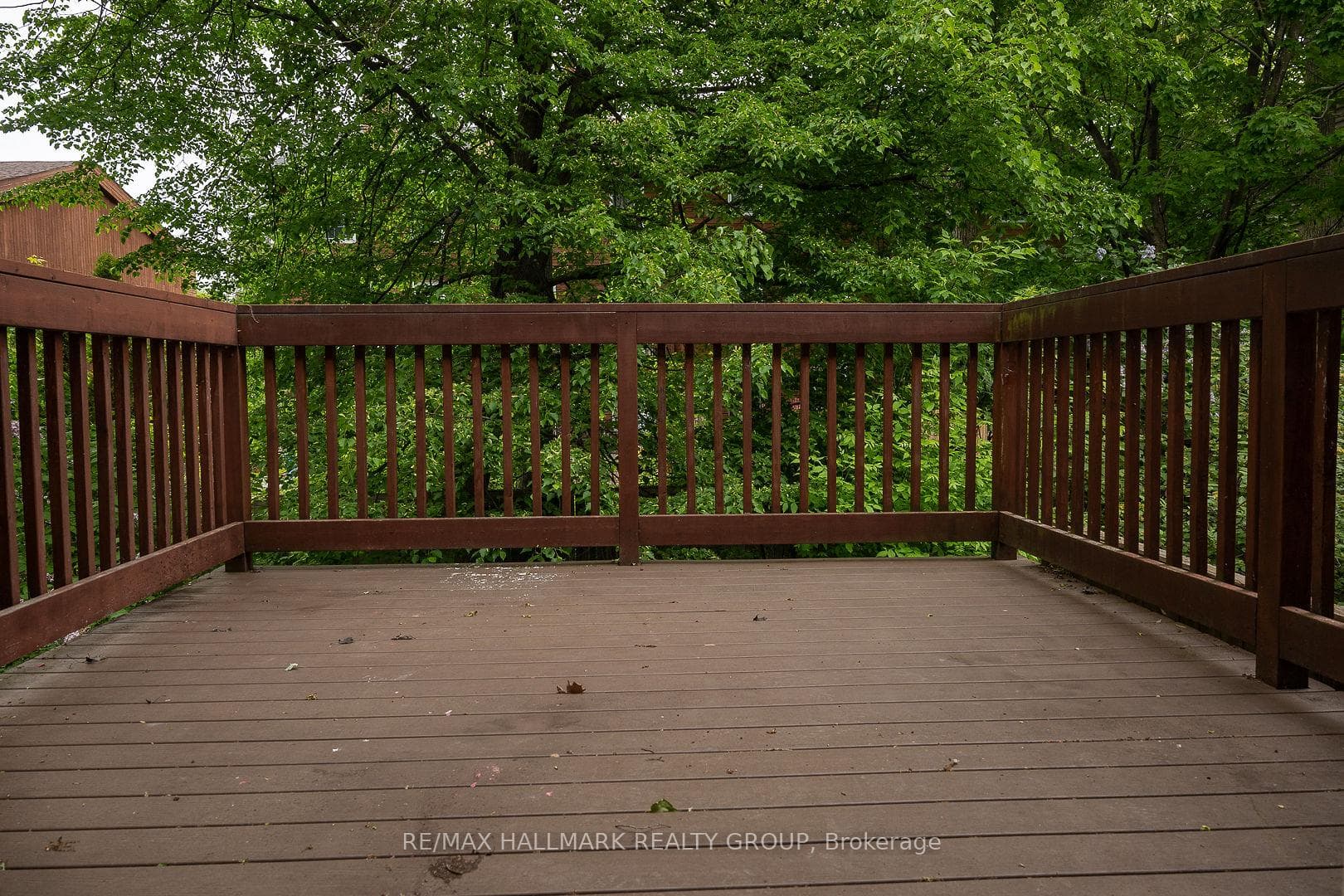 Rear Deck