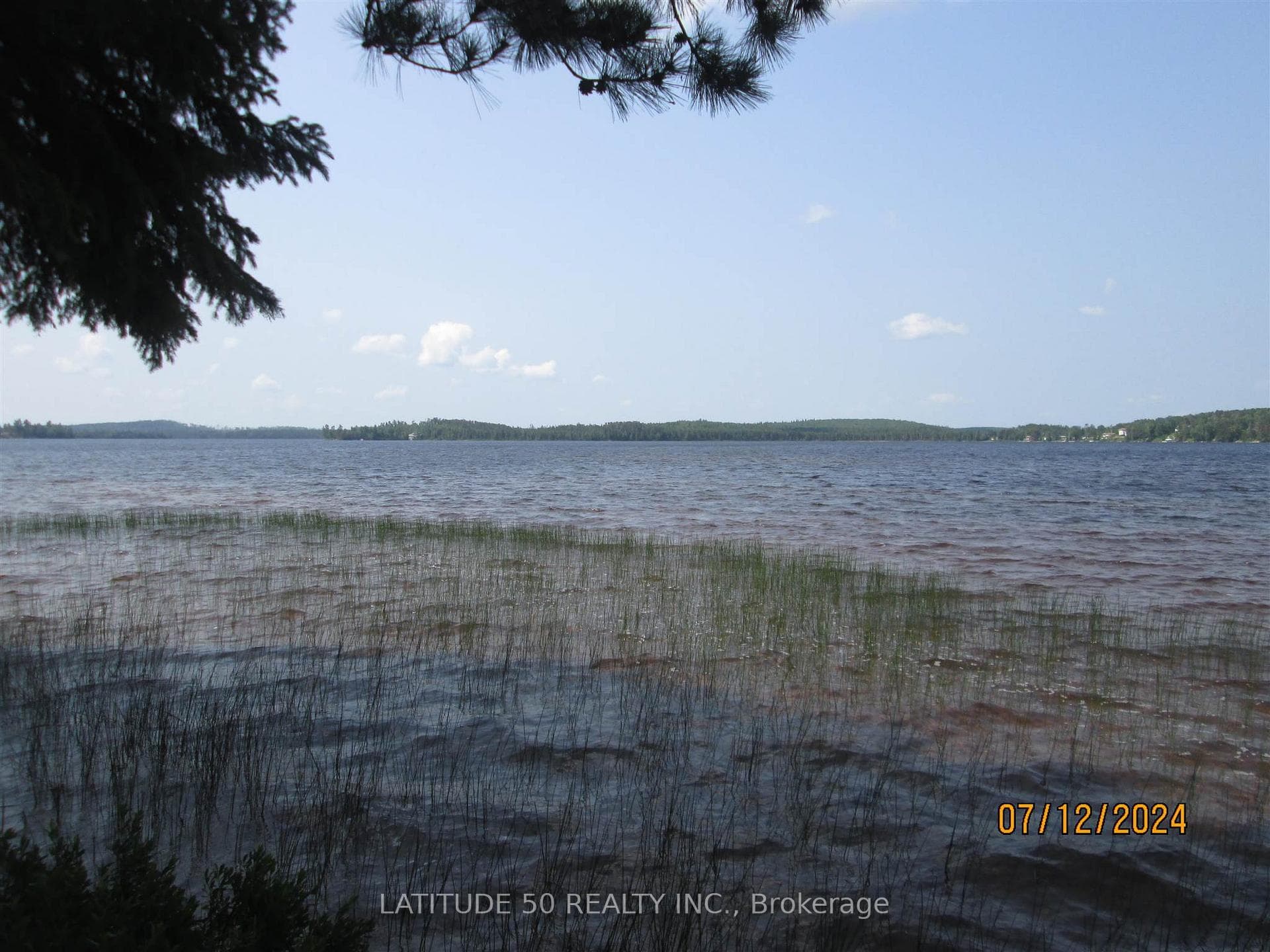 128 Lakeshore Drive photo 4