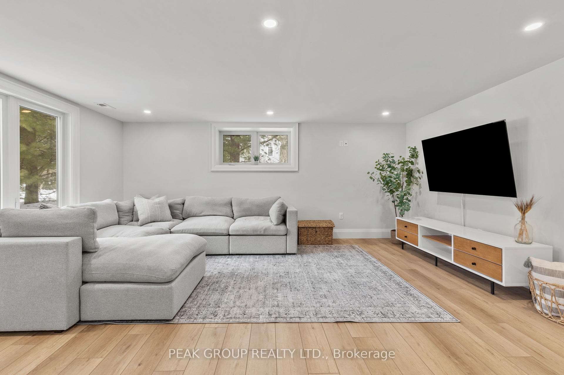 Lower level Rec room