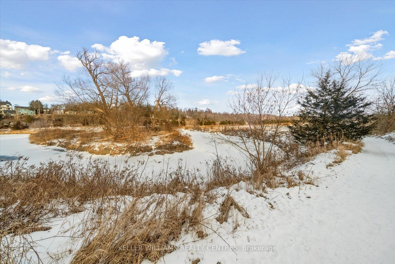 19097 Yonge Street photo 15