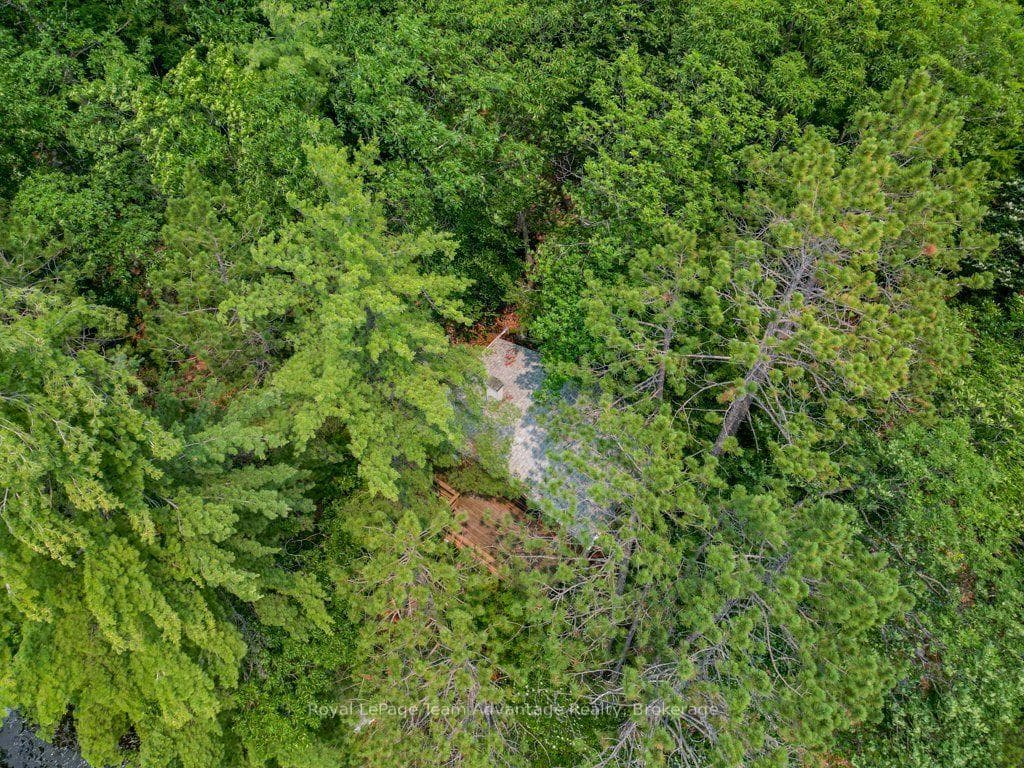 Aerial of Roof