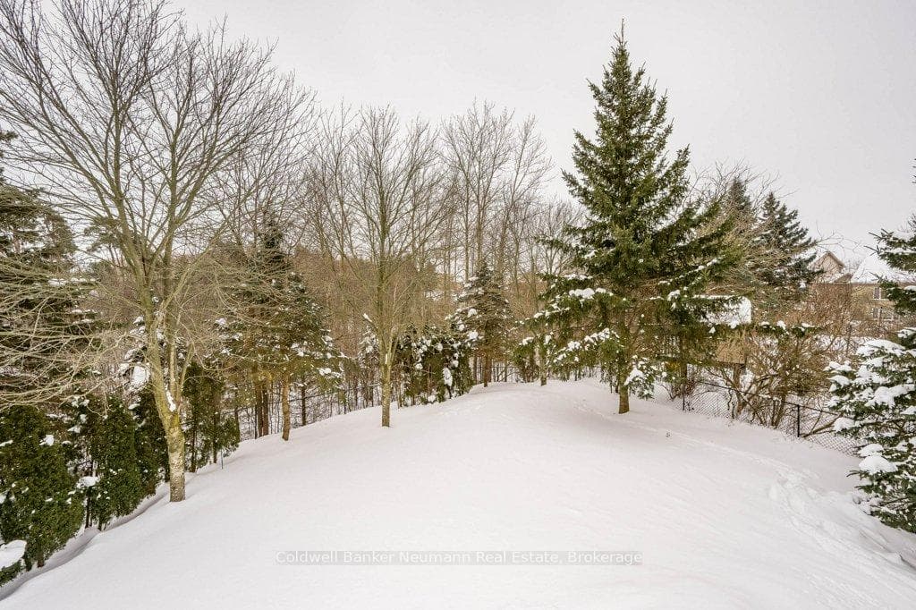 305 Farley Drive photo 50