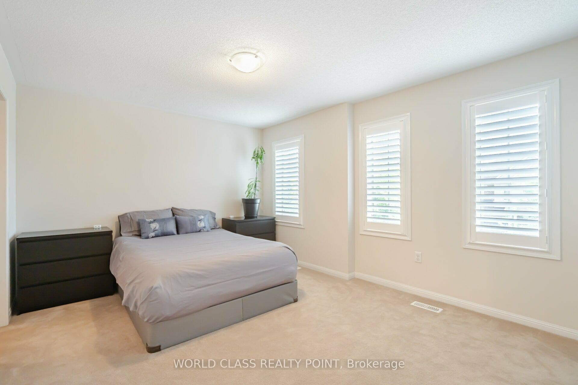 16 Birch Tree Trail photo 28