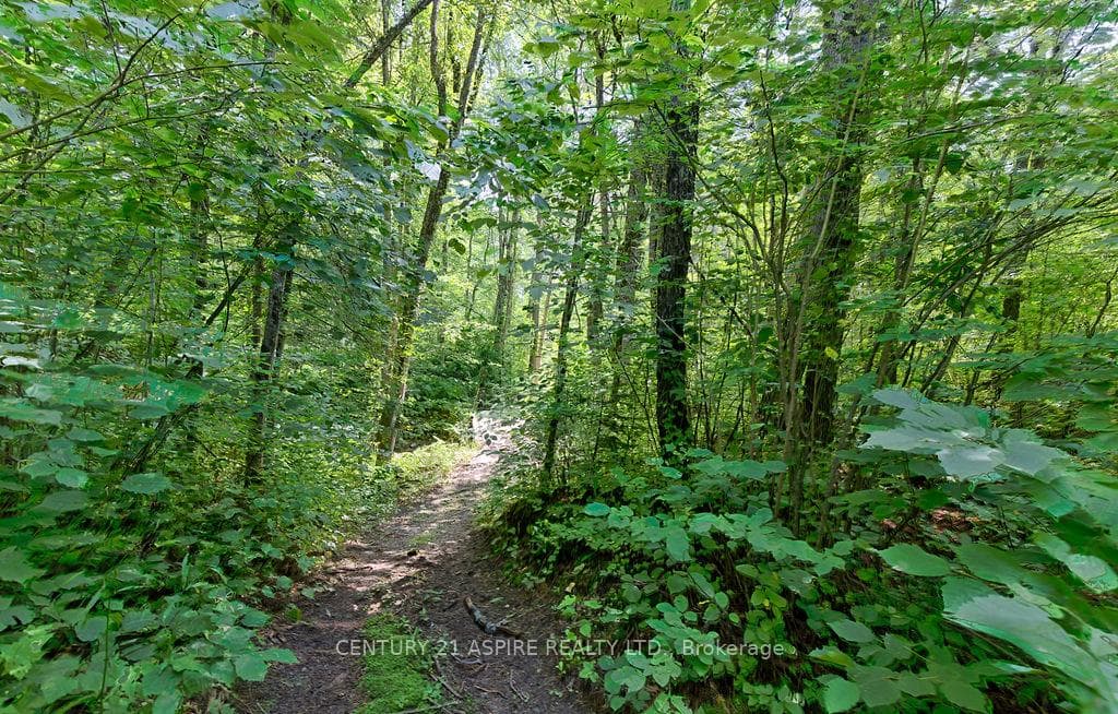 539 Schwan Road photo 45