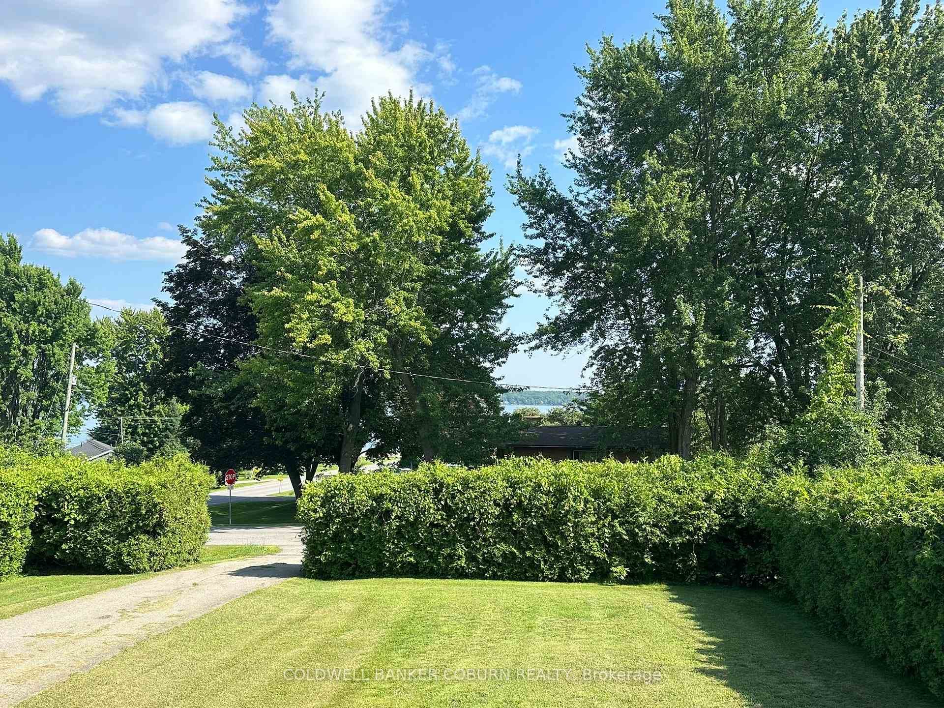 Front yard