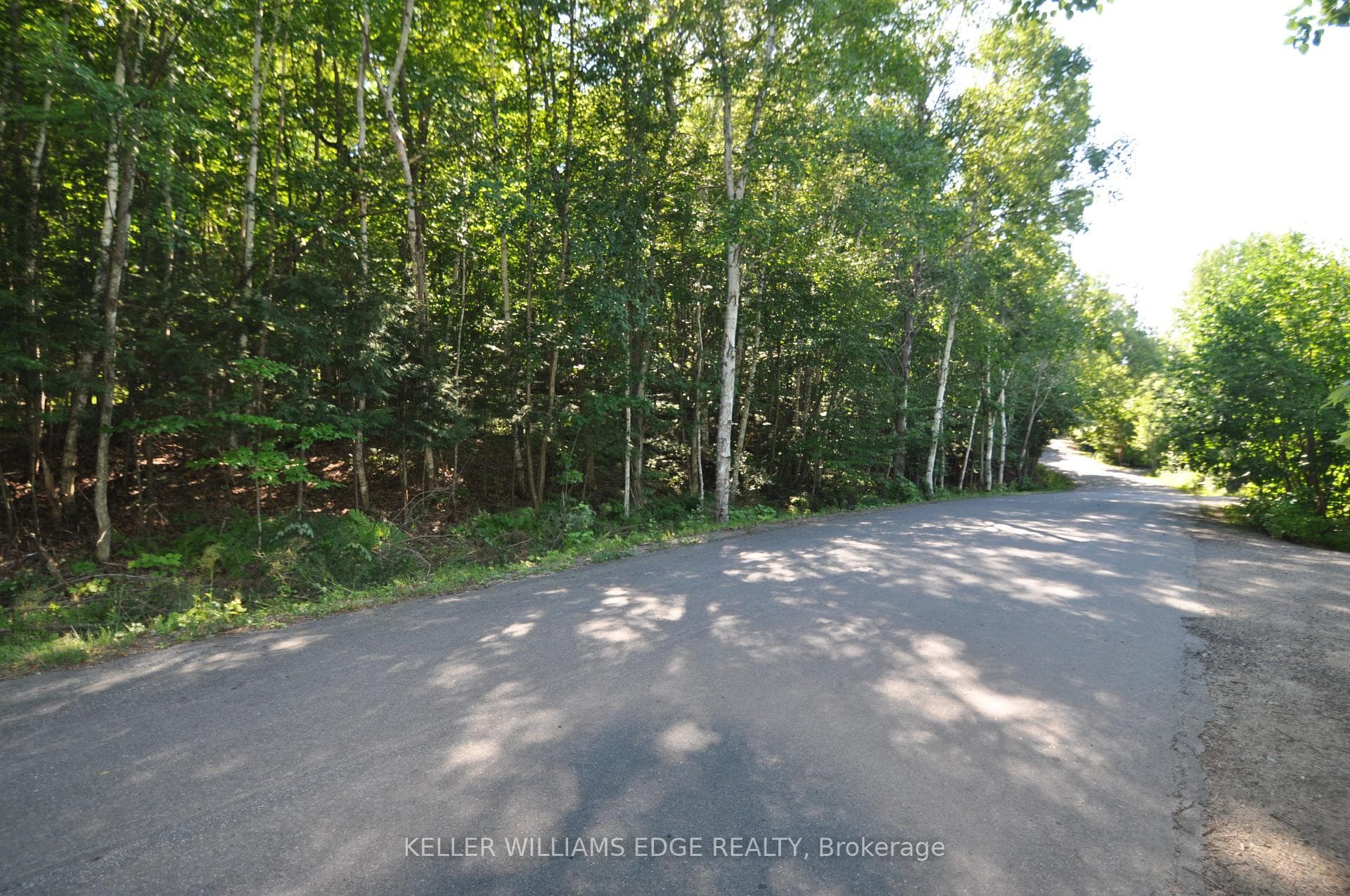148 Vernon Lane photo 1