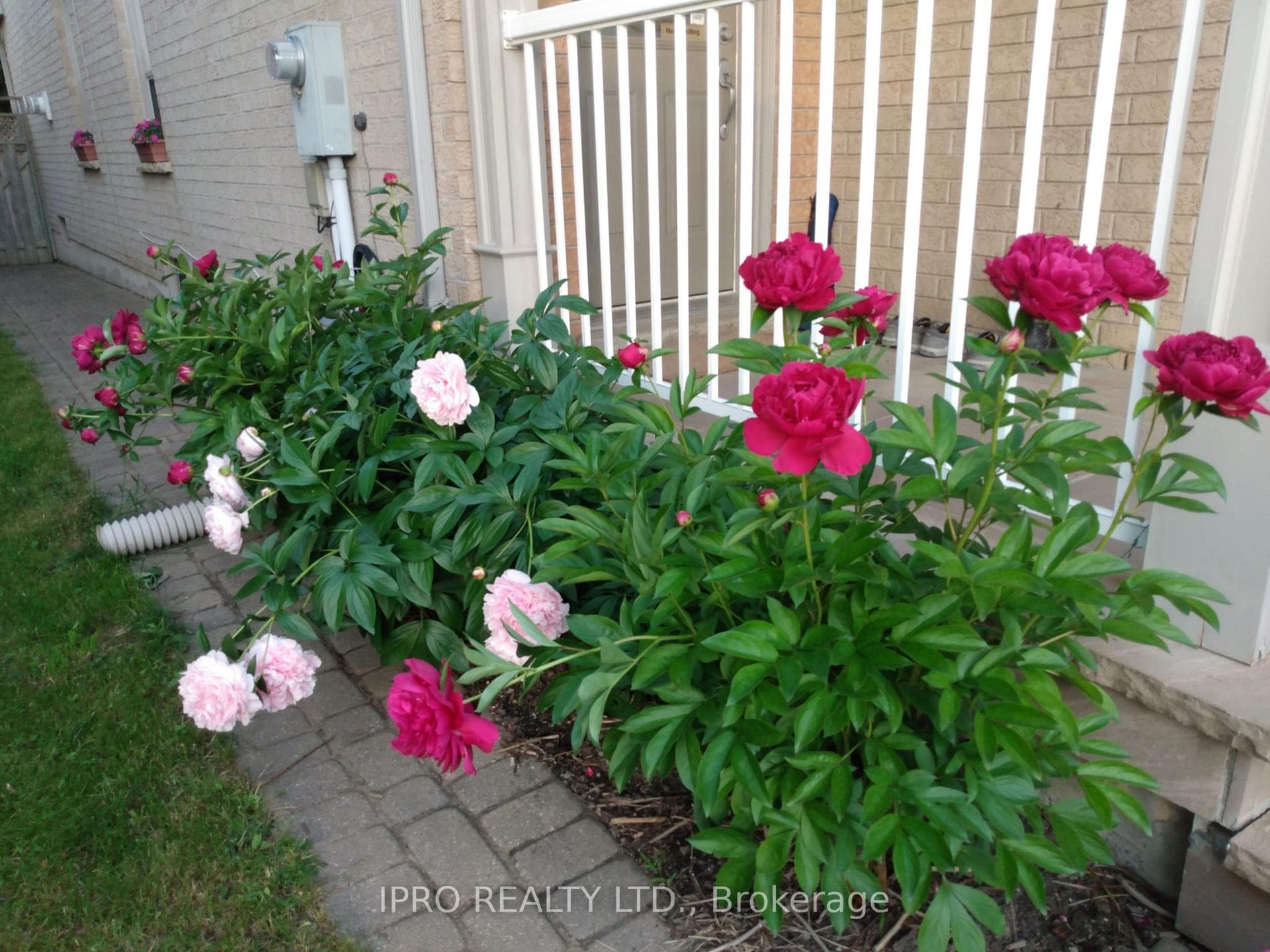 69 Sunridge Street photo 32