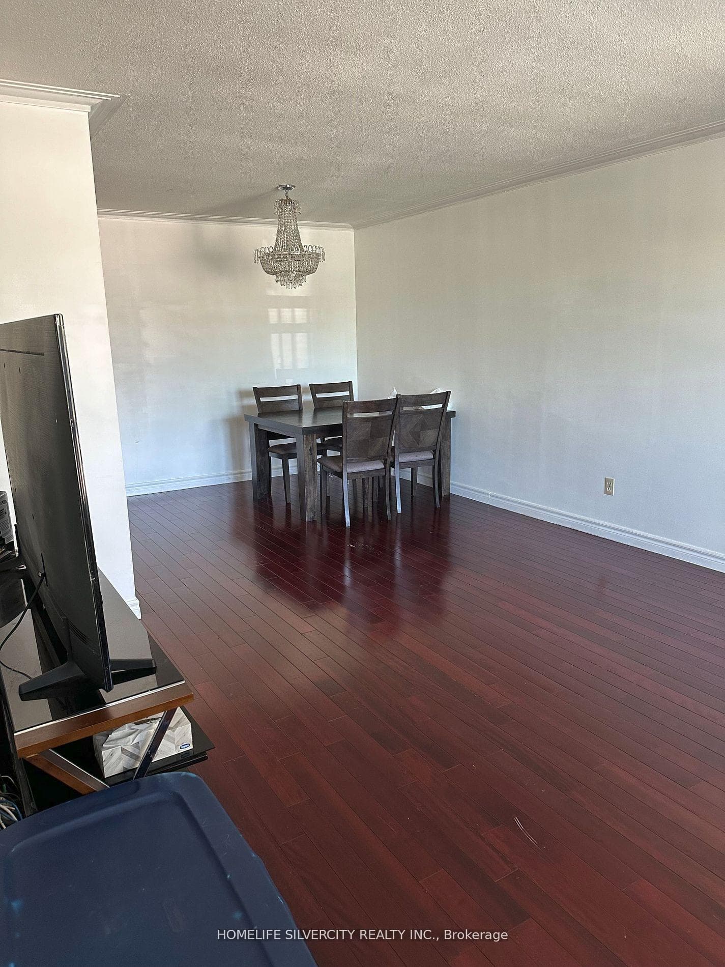 110 Anthia Drive photo 5