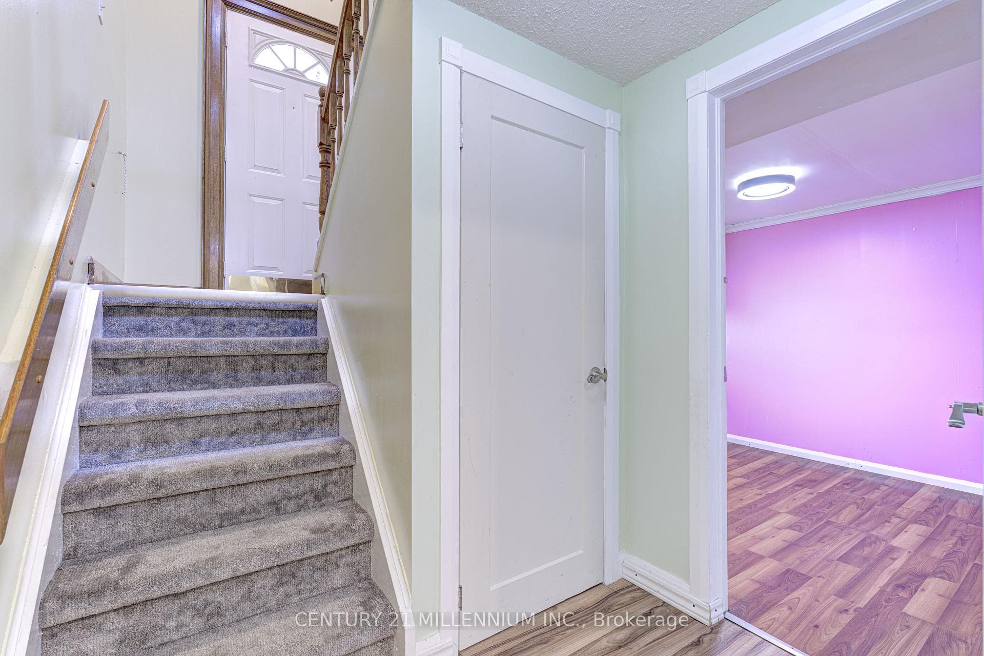 8 Regency Street photo 31