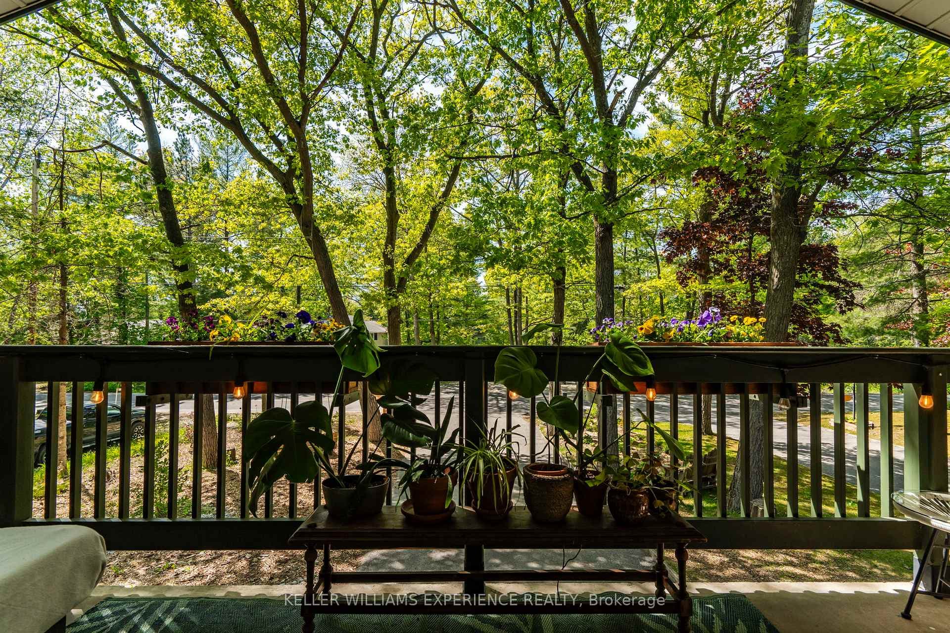 181 Park Road photo 28