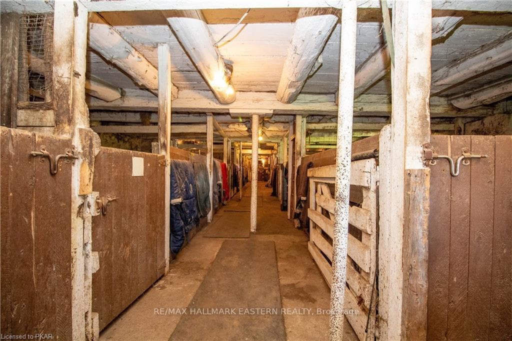534 Meadowview Road photo 32