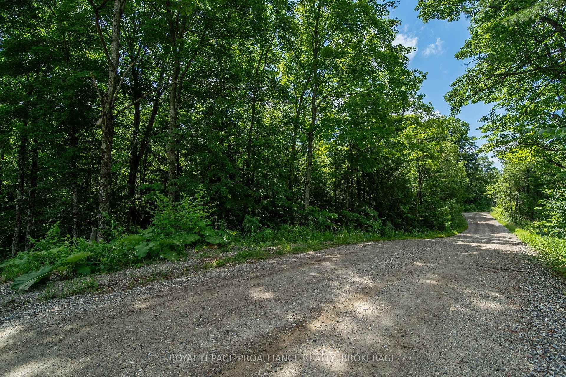 Lot 18, Part 3 Townline Road photo 9