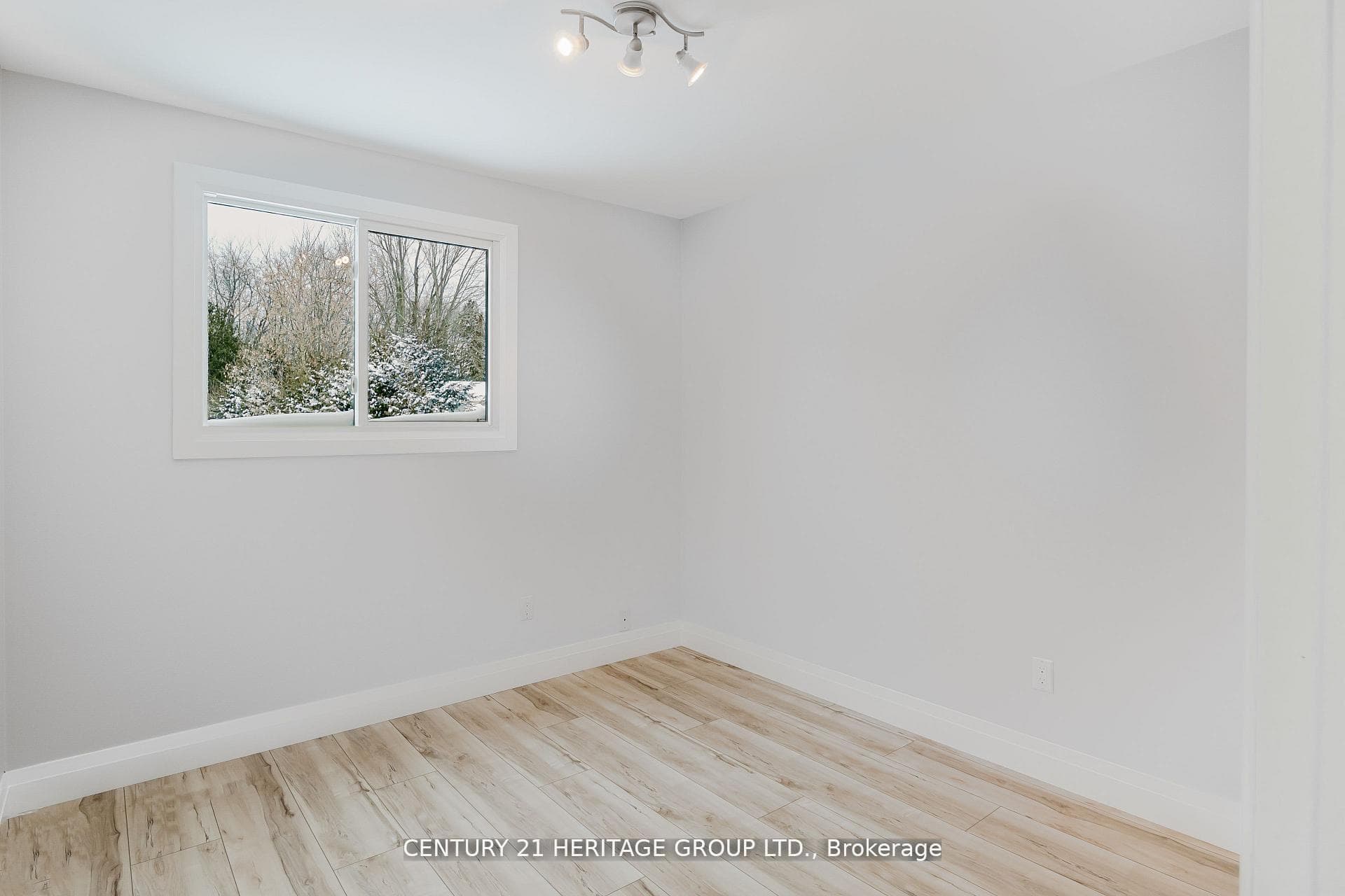7 Crawford Circle photo 23