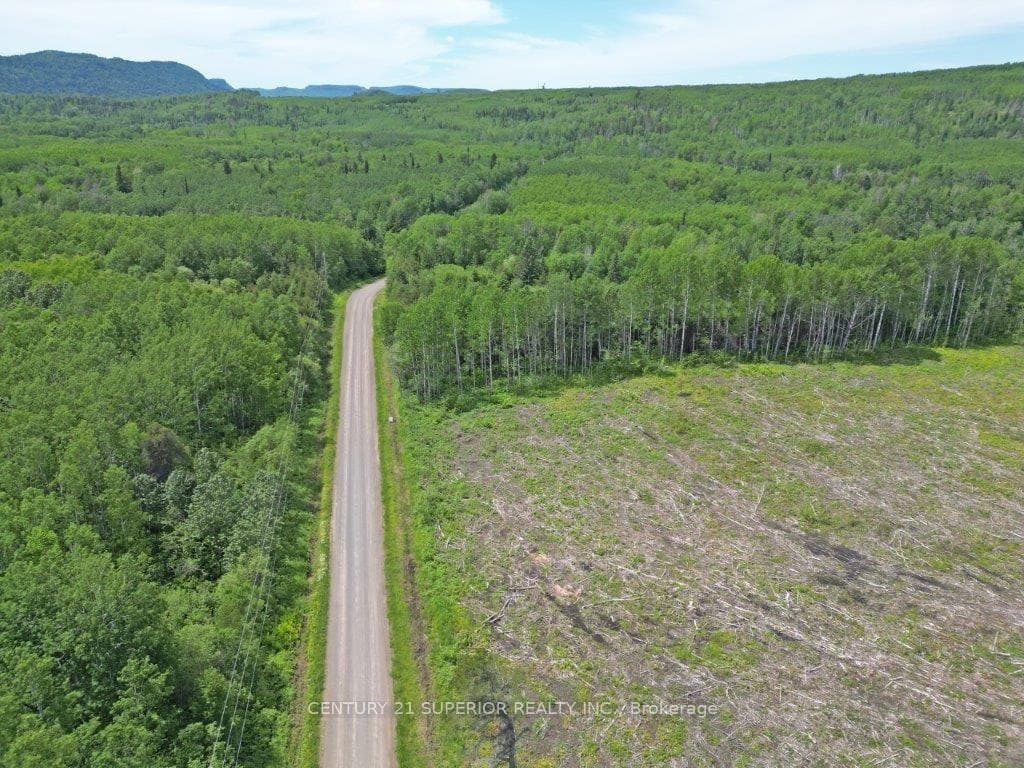 Part 1 Larson Road photo 2