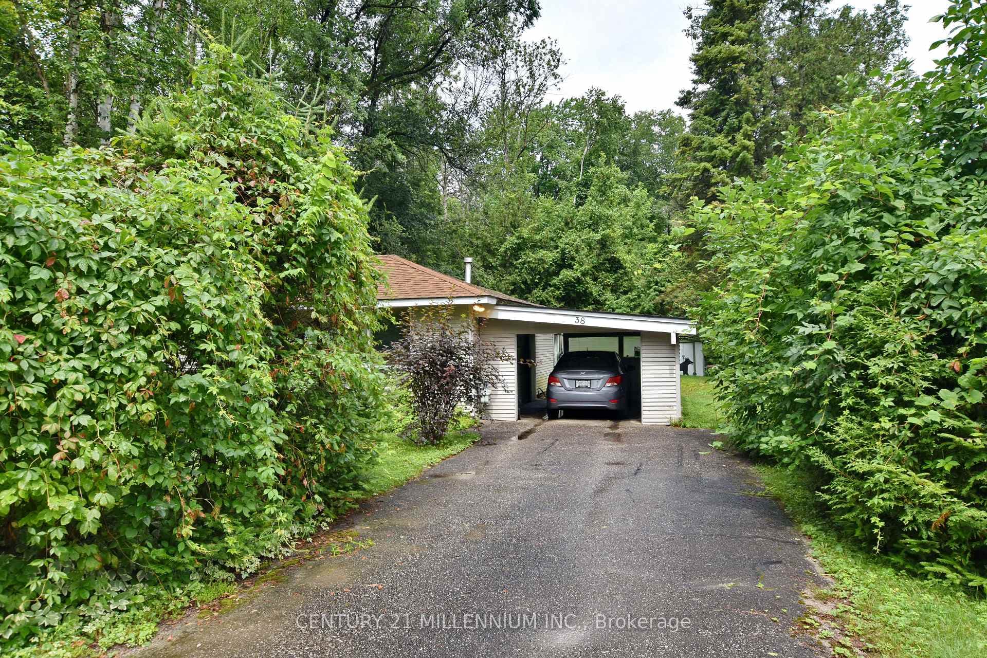 38 Pinecrest Avenue photo 5