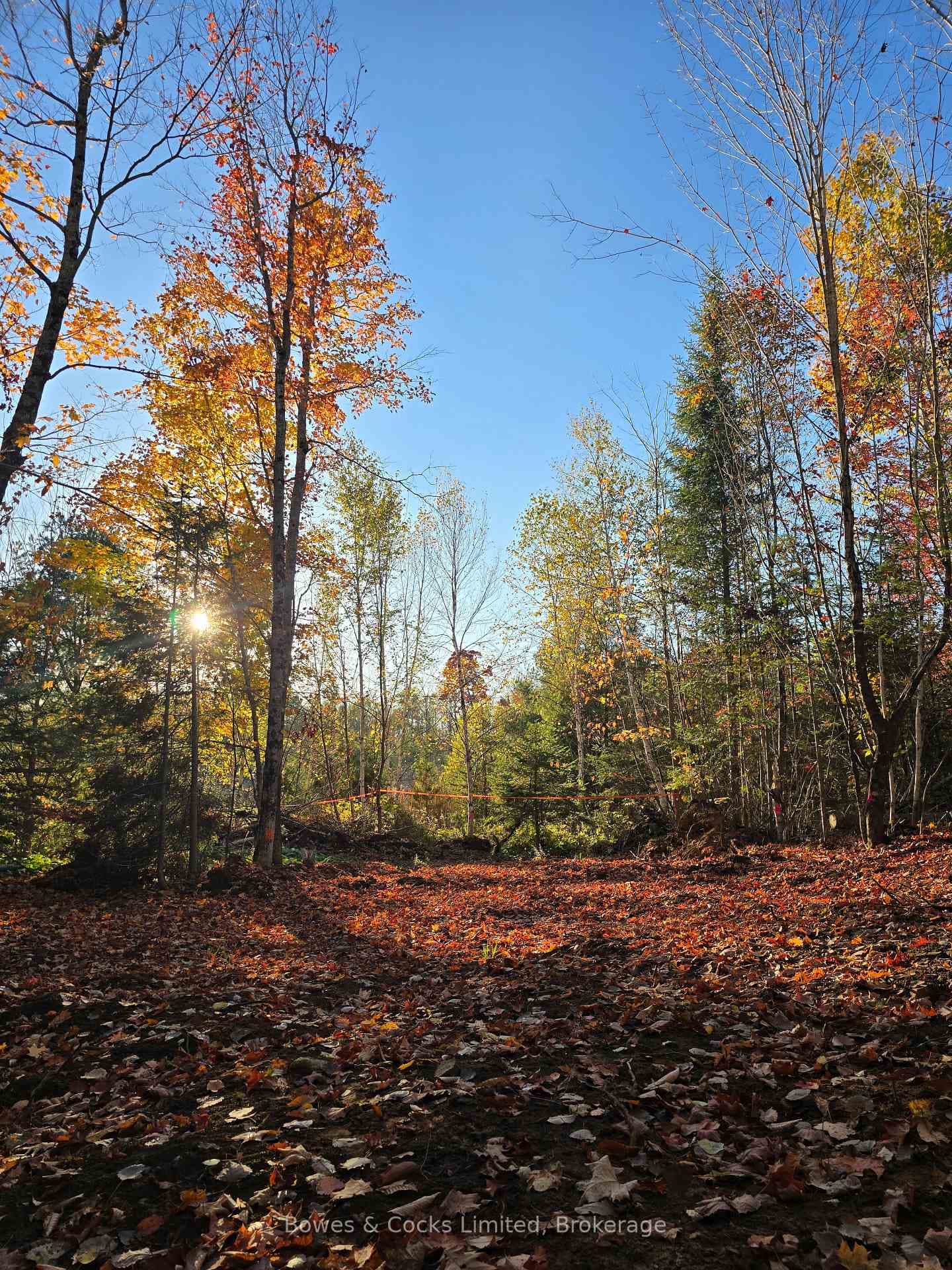 42 Clear Lake Court photo 18