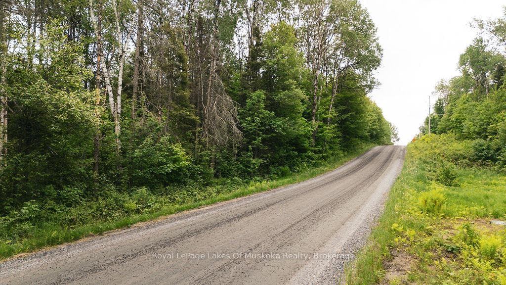 123 Ely Side Road photo 4