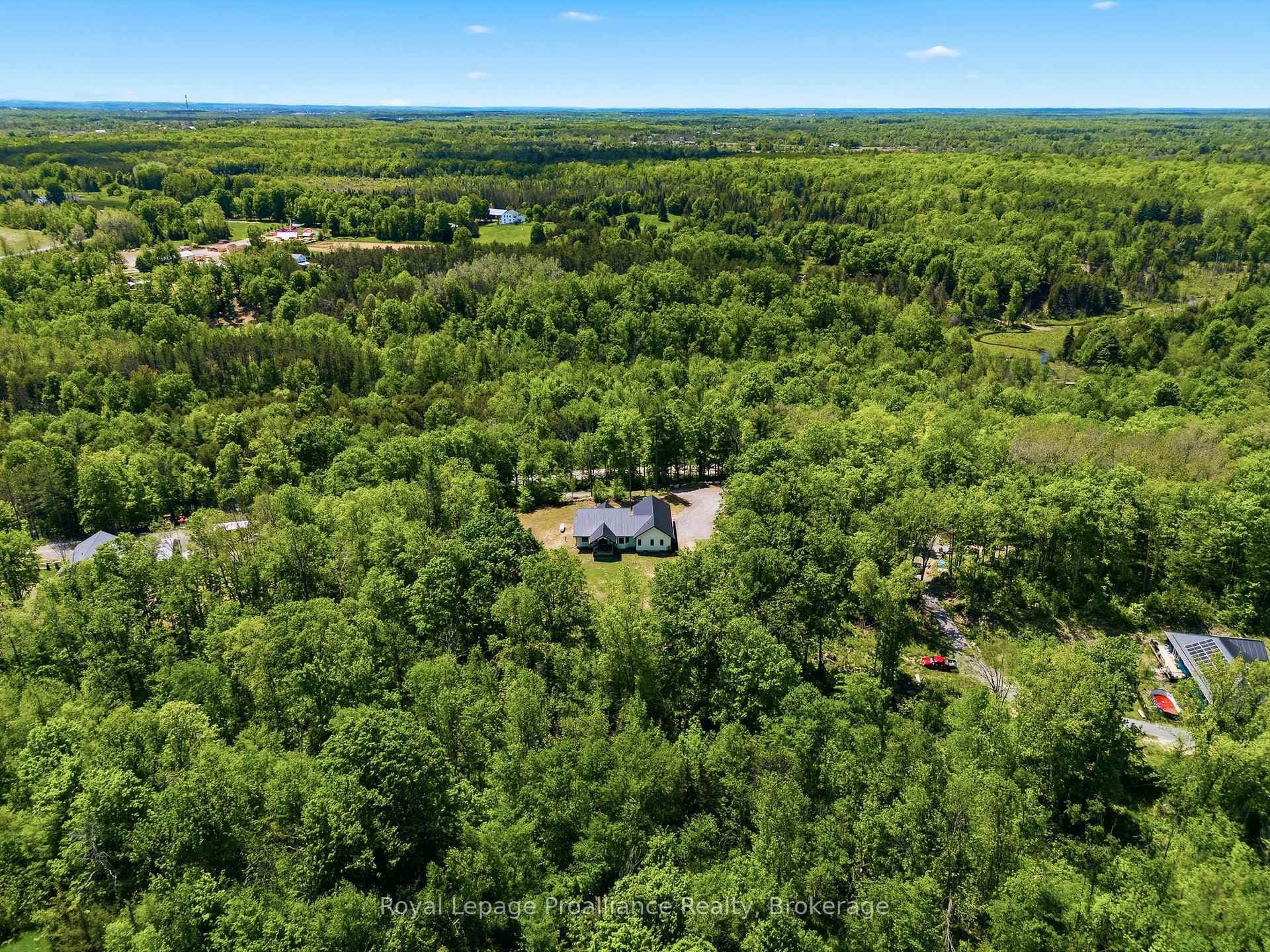 293 Douglas Road photo 48