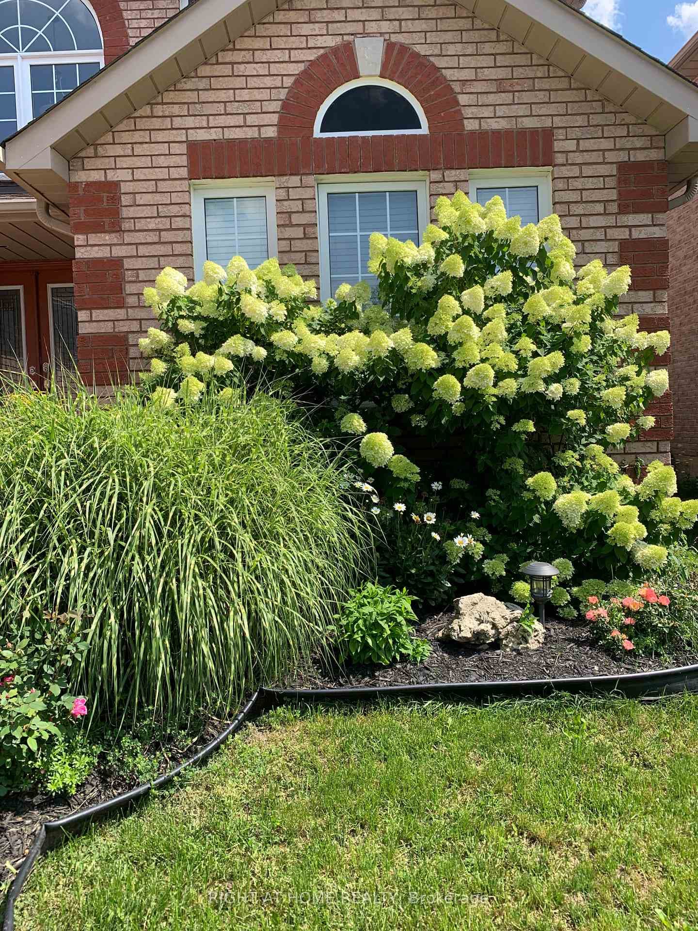 Front garden