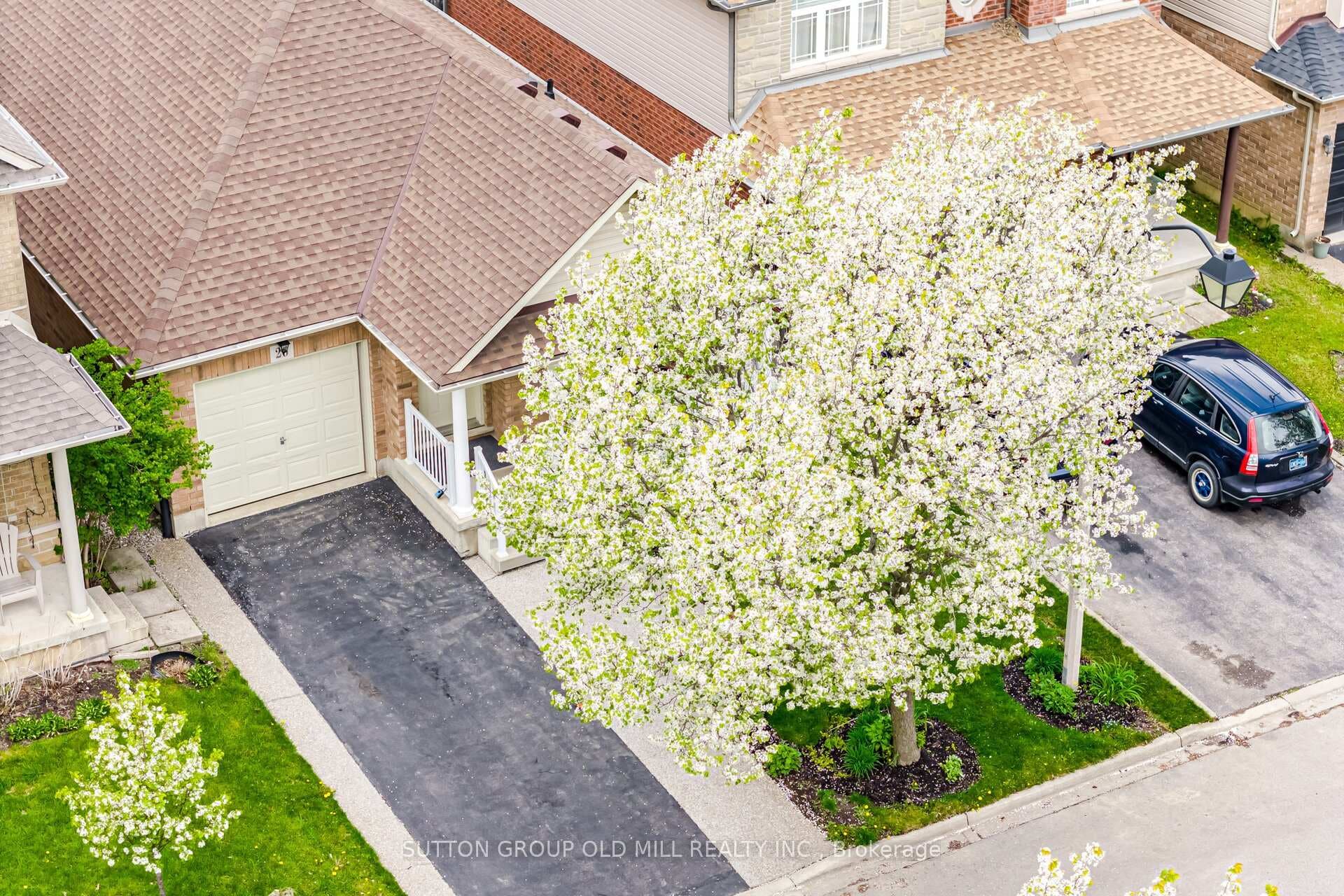 26 Edna Avenue photo 46