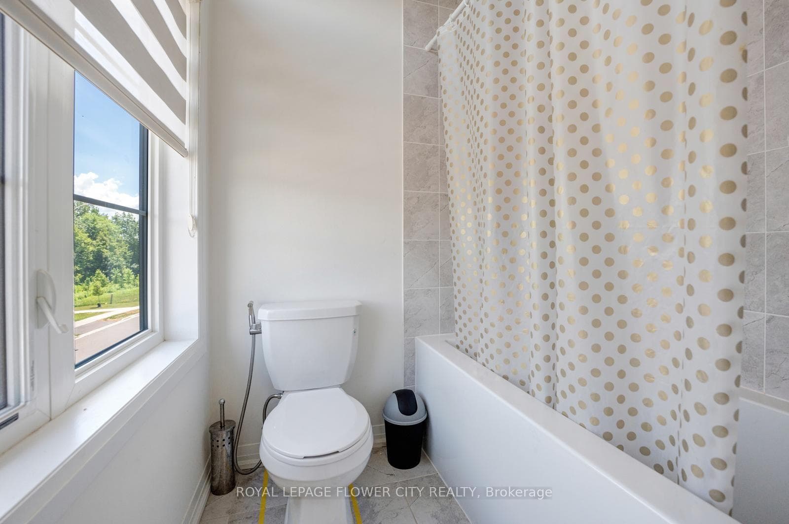 44 Weylie Street photo 39