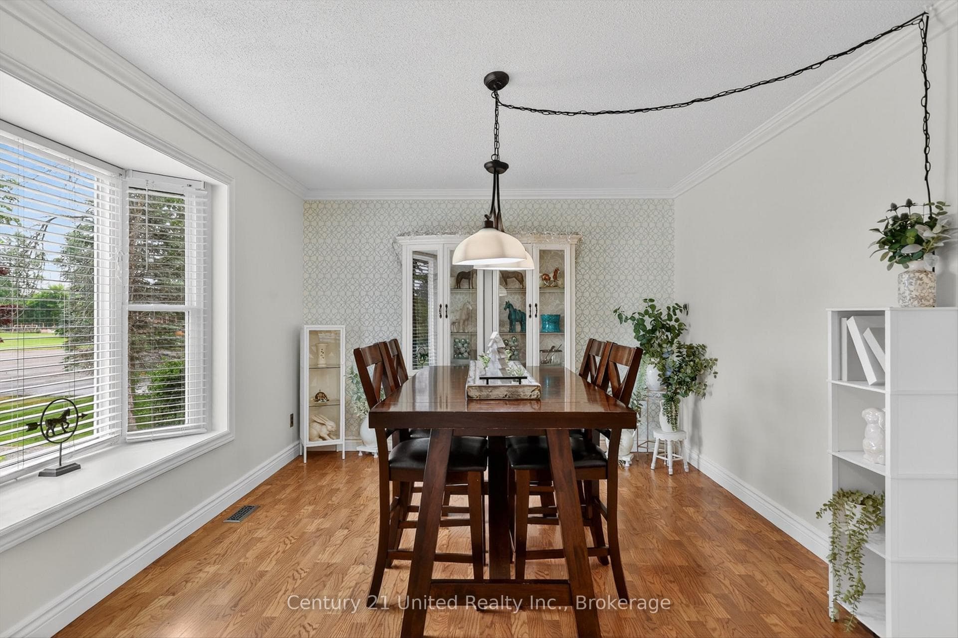 12 Emily Court photo 9