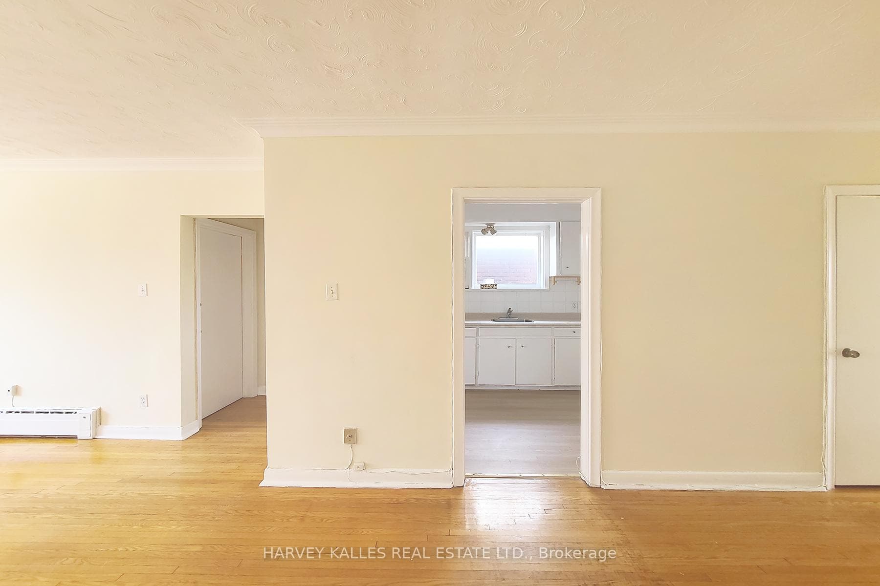 103 & 105 Gilmour Avenue photo 6