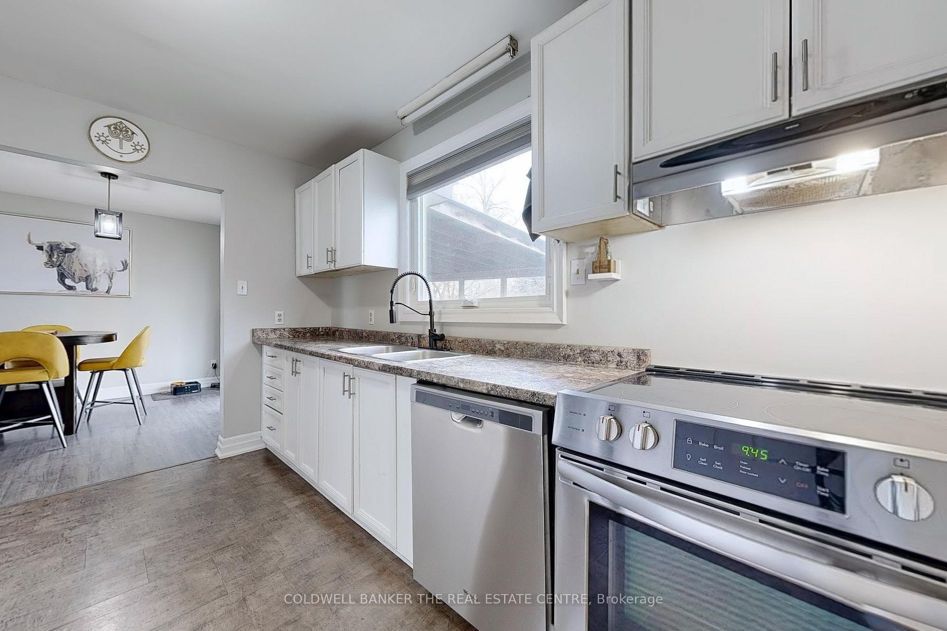 Stainless Steel appliances with double sink