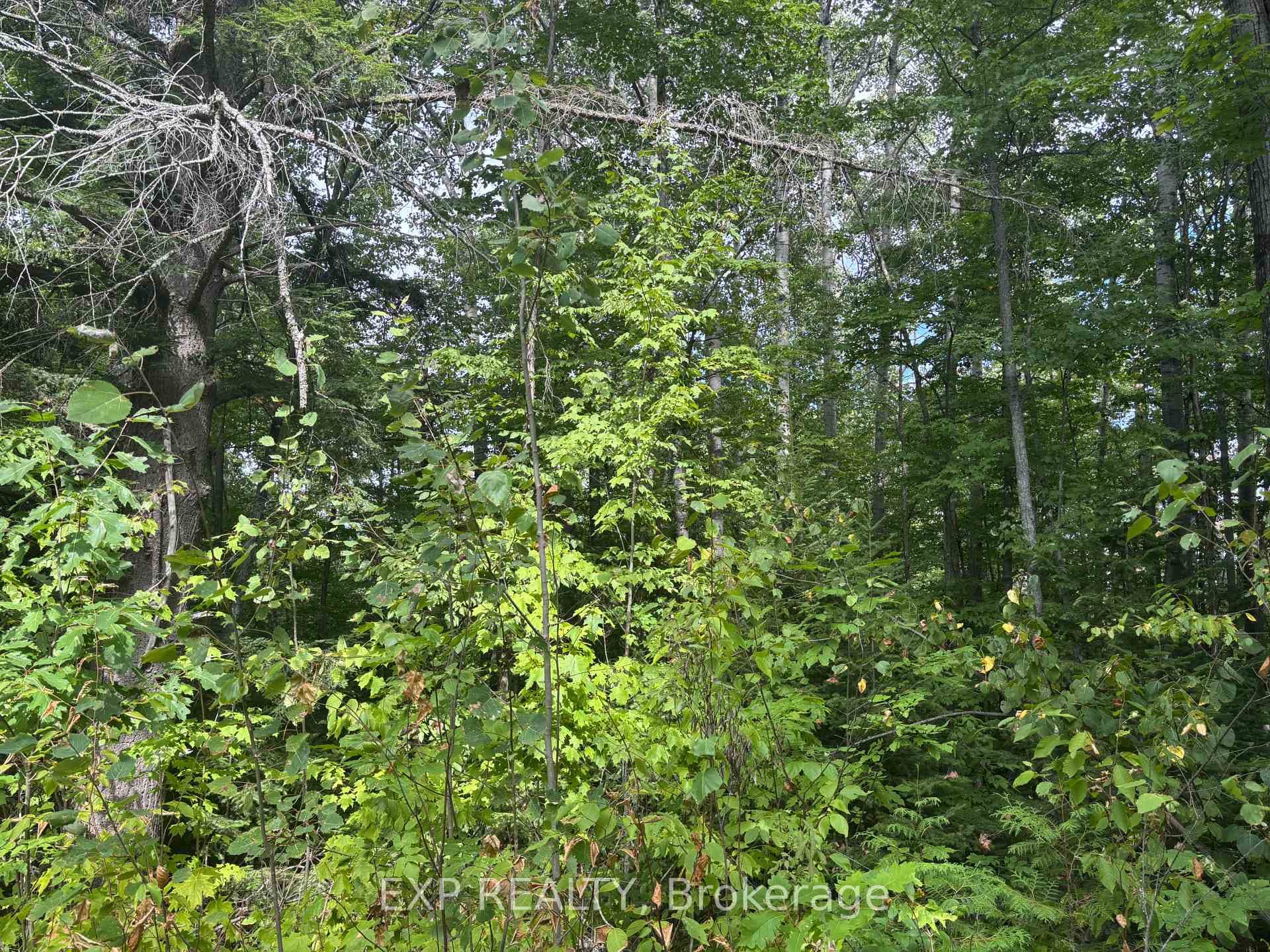 Lot A Arbor Vitae Road photo 12