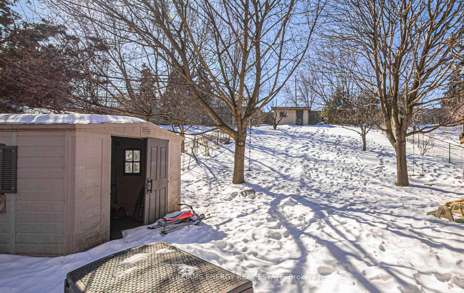 67 Mcsweeney Crescent Unit Bsmt photo 6