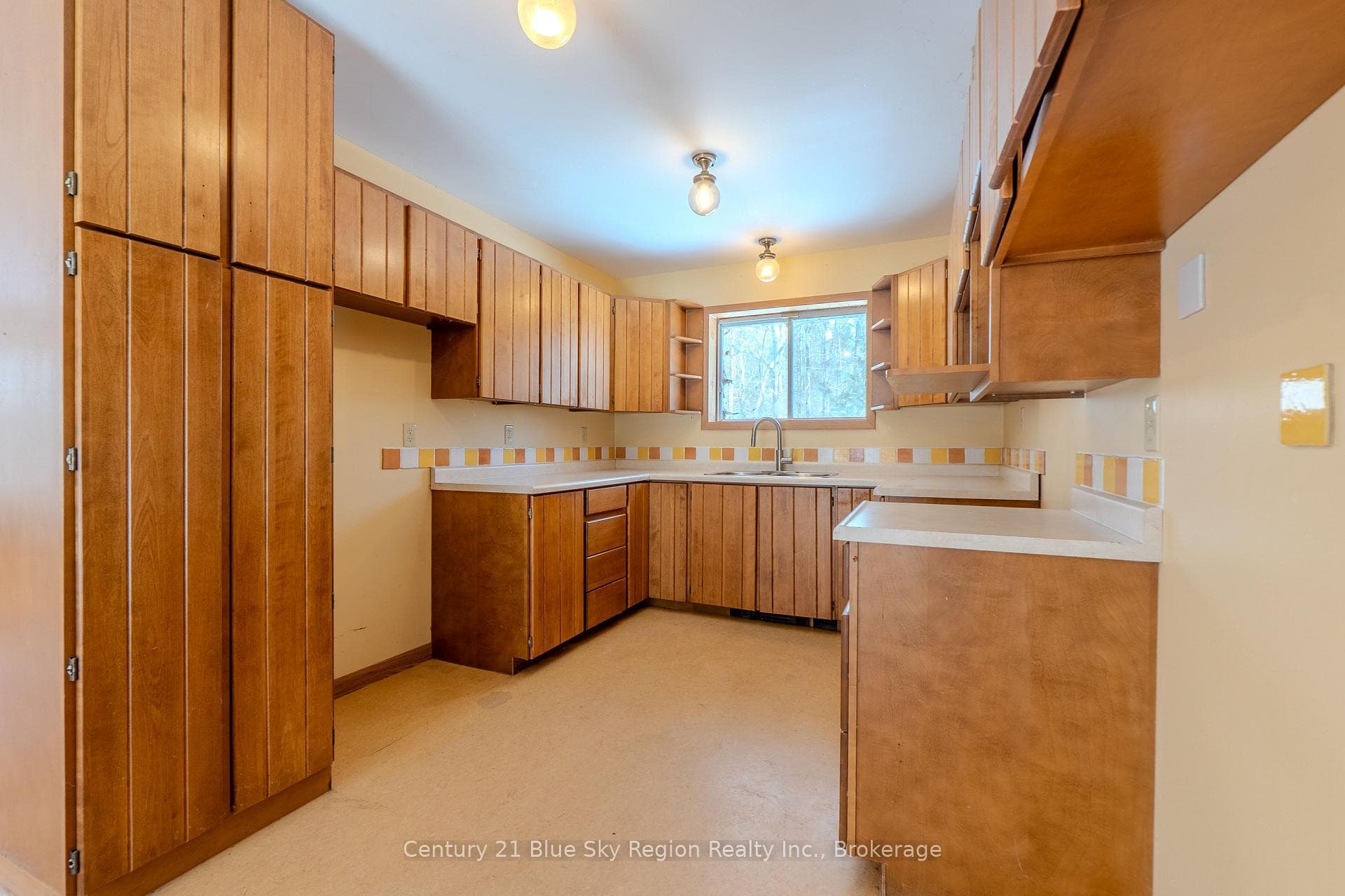55 Chadbourne Drive photo 20