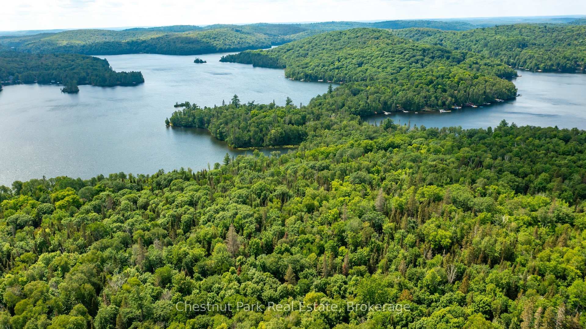 PT 1 Grass Lake Road photo 15