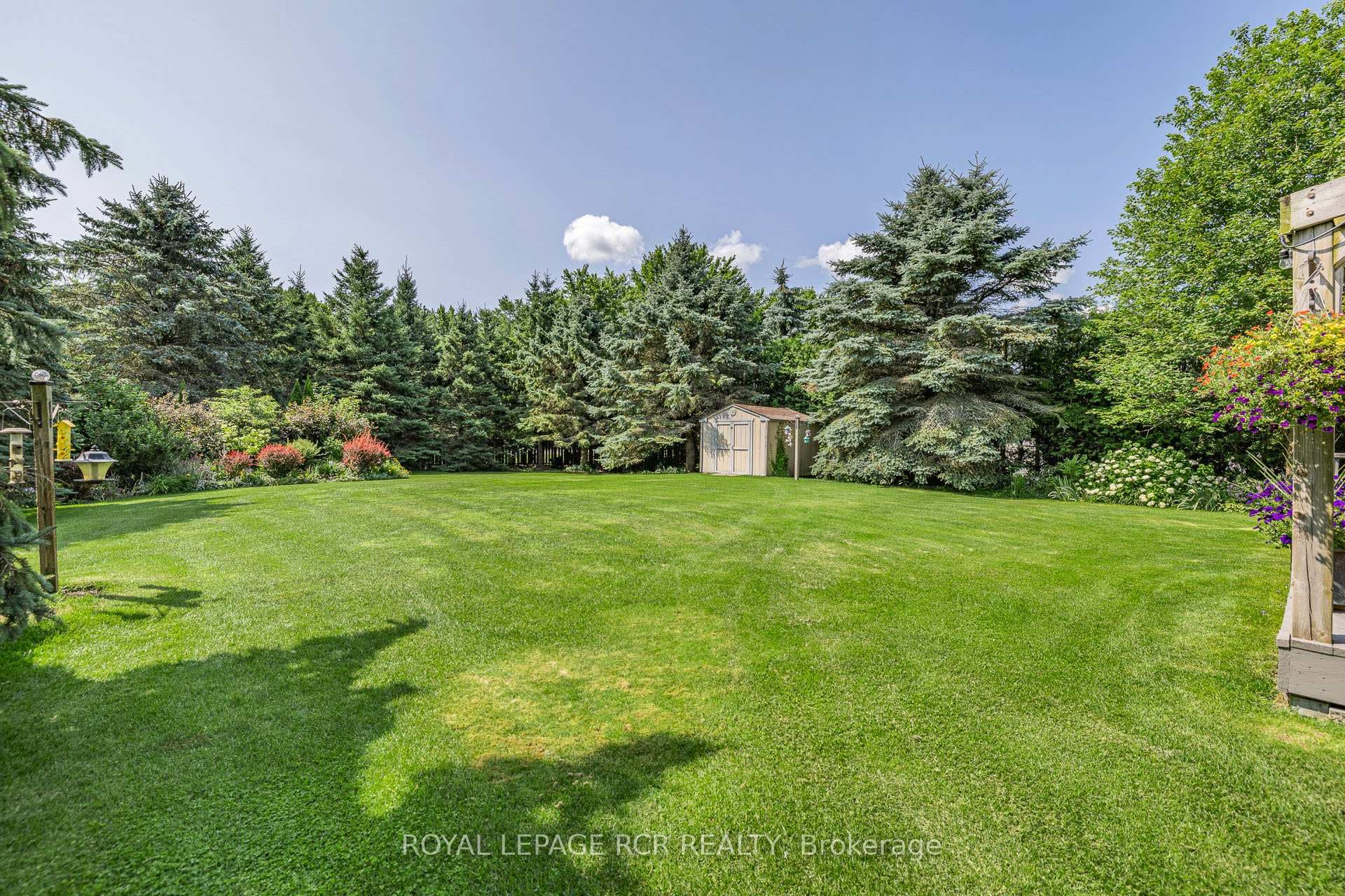 15 Tranmer Road photo 36
