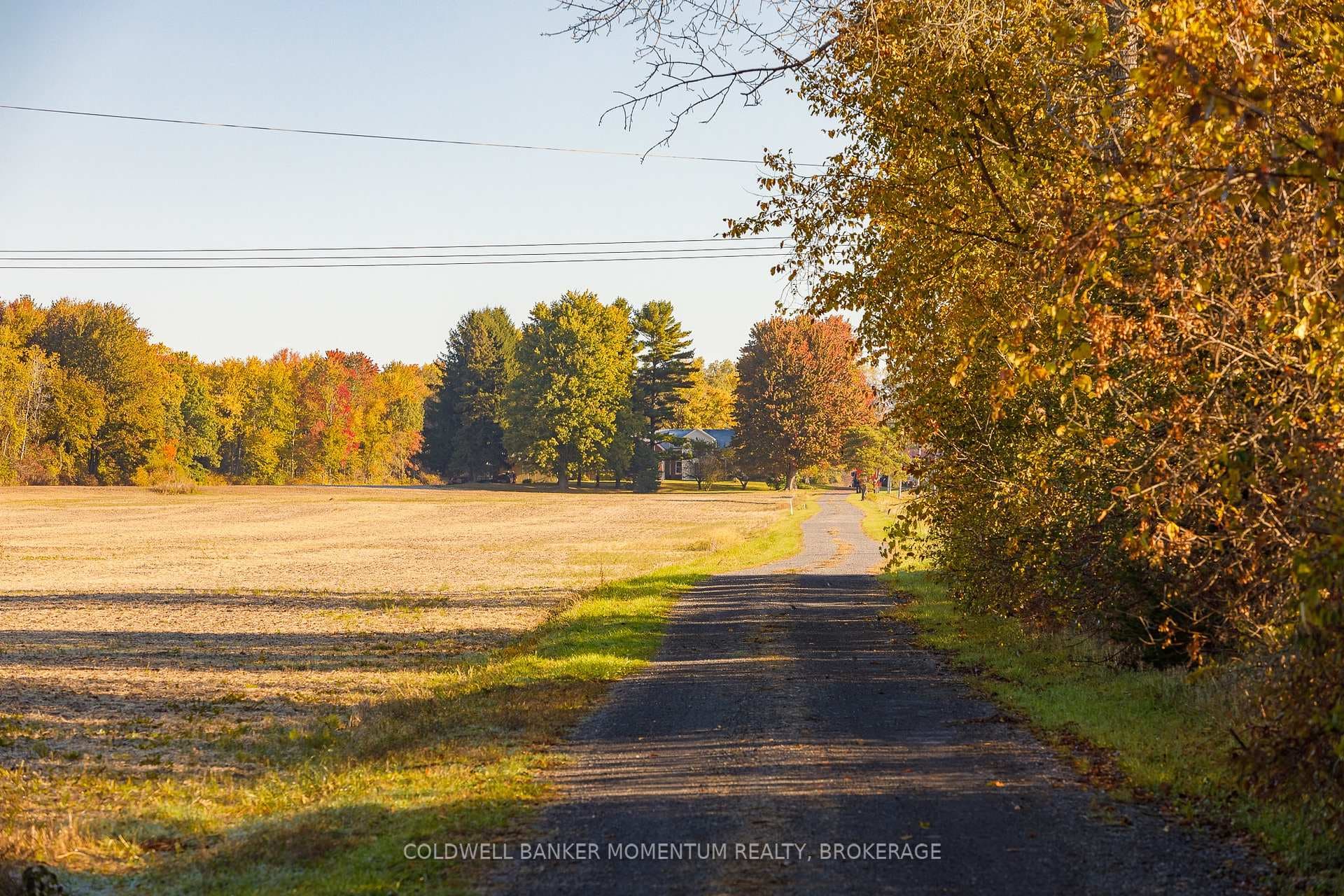 86 FEEDER Lane photo 16