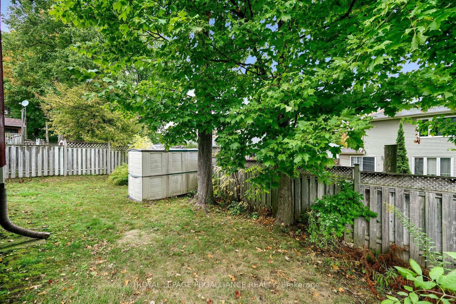1003 Montrose Street photo 30