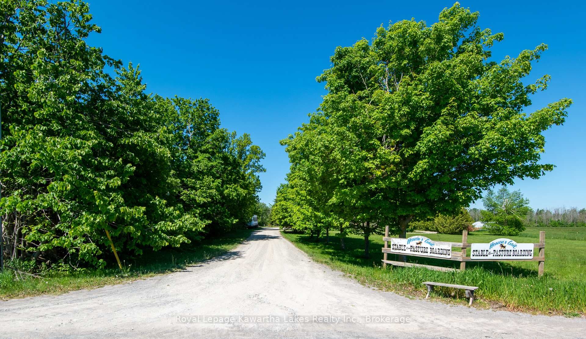 Tree lined drive