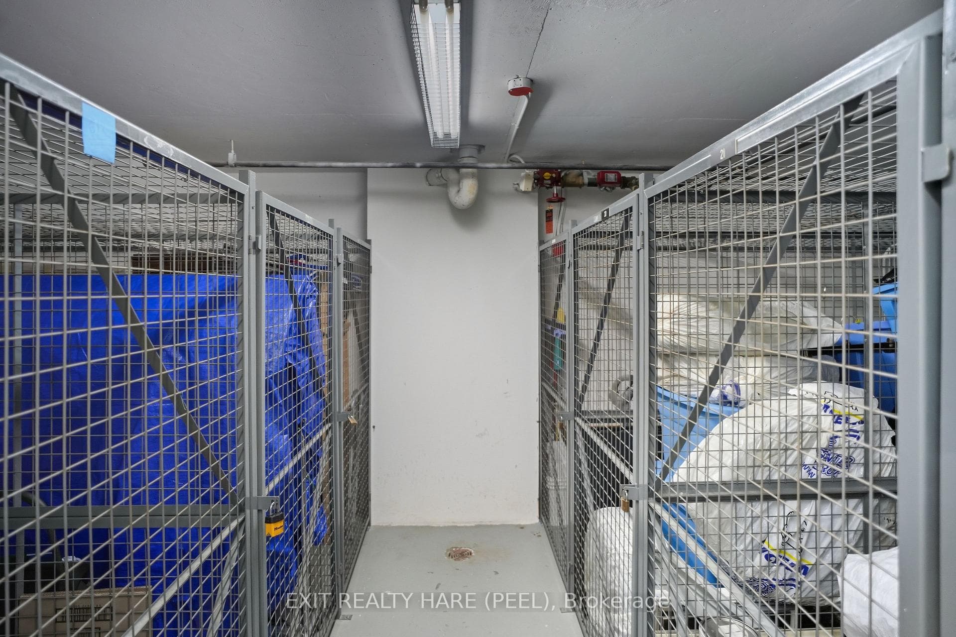 11 Townsgate Drive Unit 618 photo 13