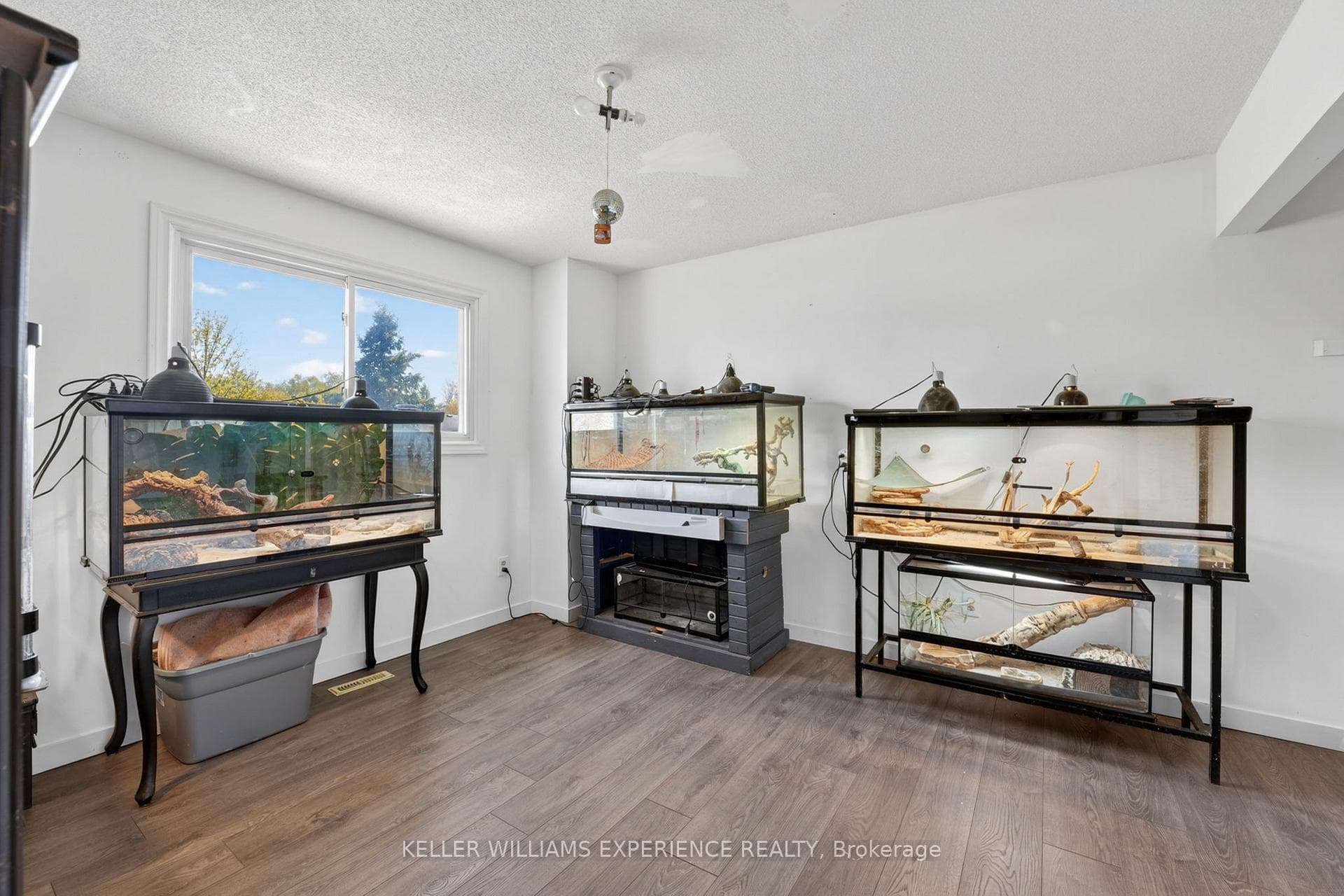1069 Maclean Street photo 10