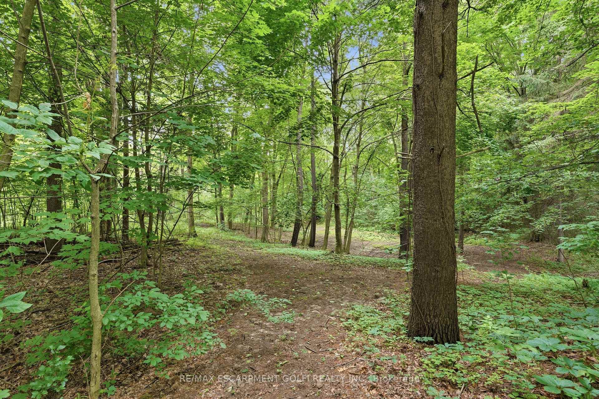 461 TICE Road photo 46