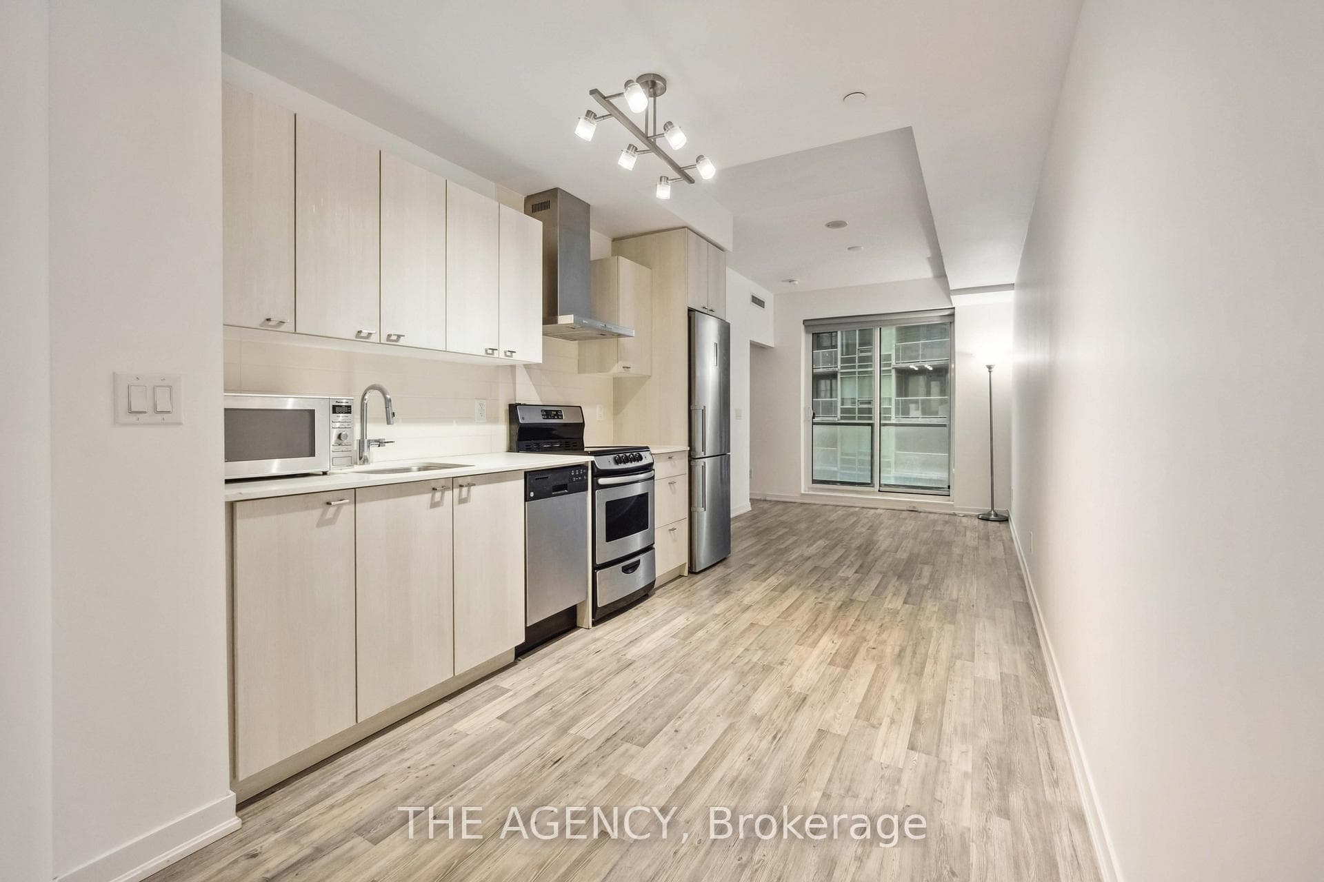 51 East Liberty Street Unit 1001 photo 13