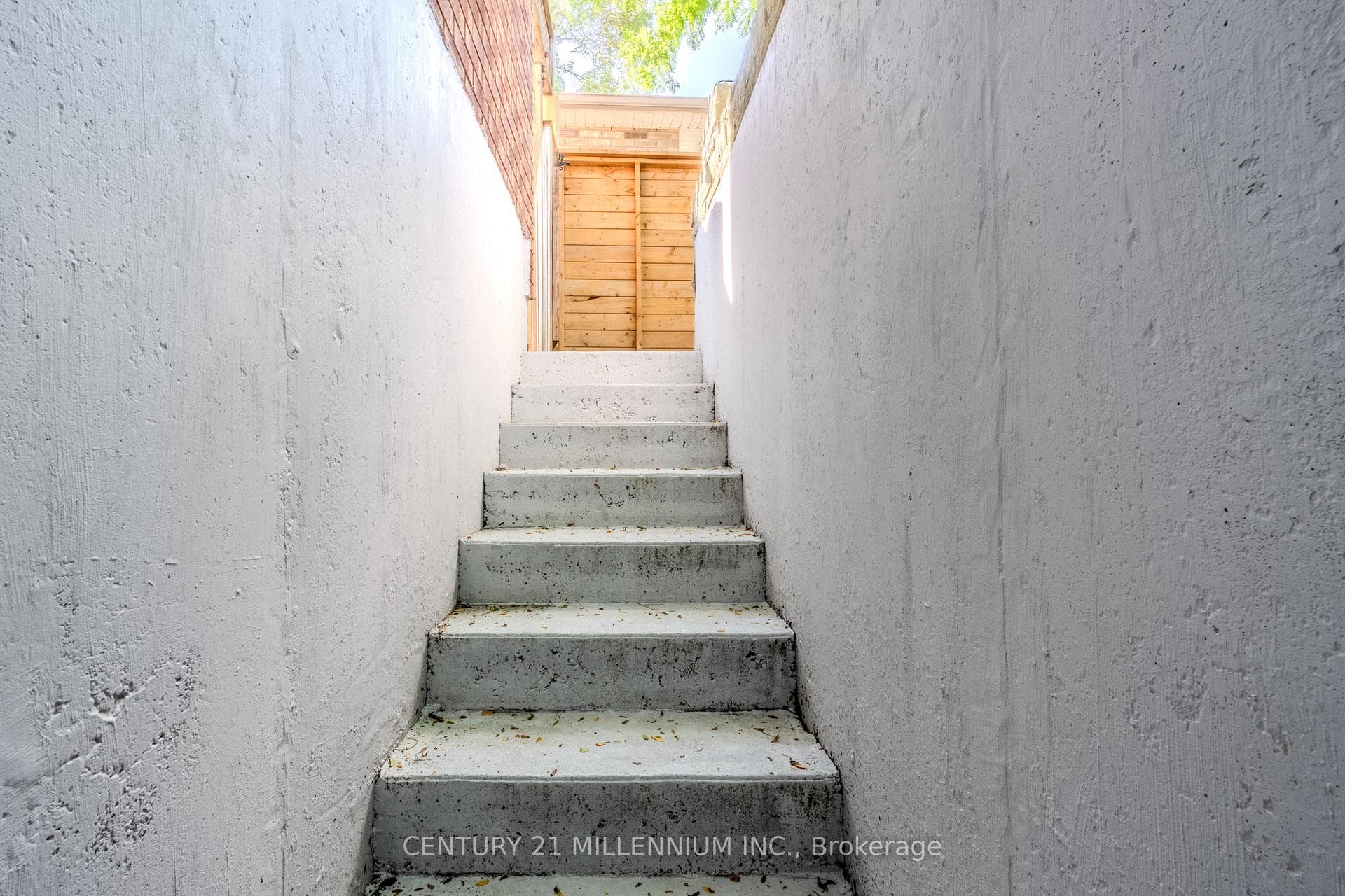 60 Ofield Road photo 40