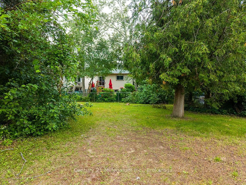 46 Royal Beech Drive photo 37