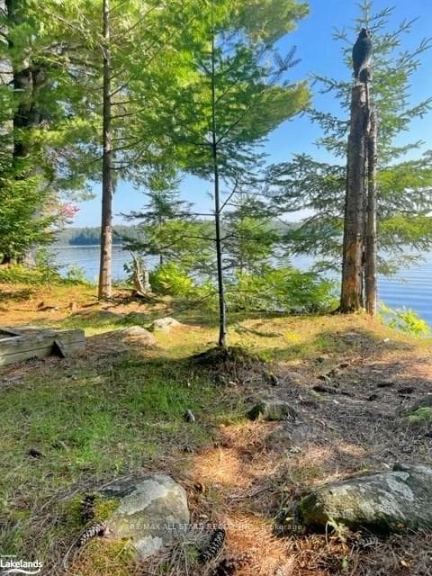 1156 Smoke Lake N/A photo 14