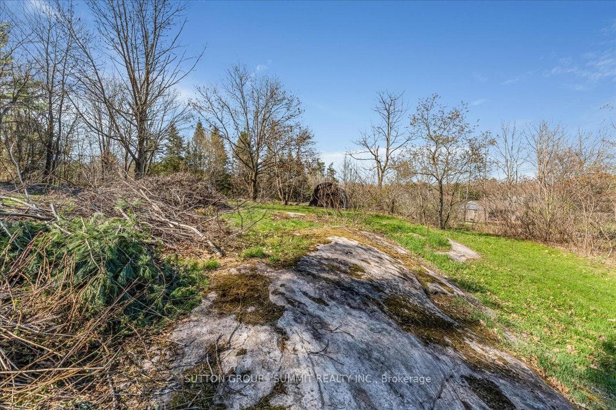49 PINERIDGE Drive photo 17