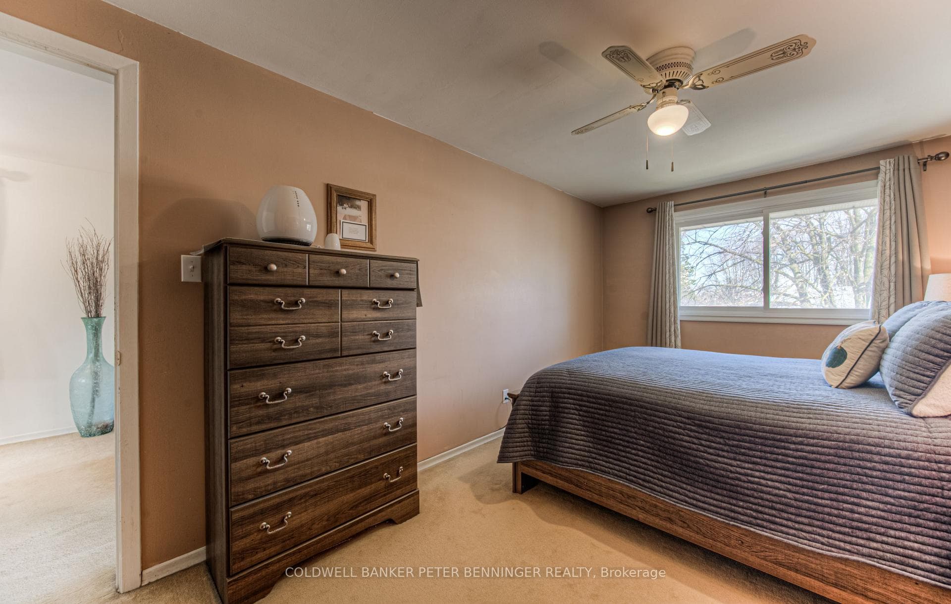 41 Cecile Drive photo 16