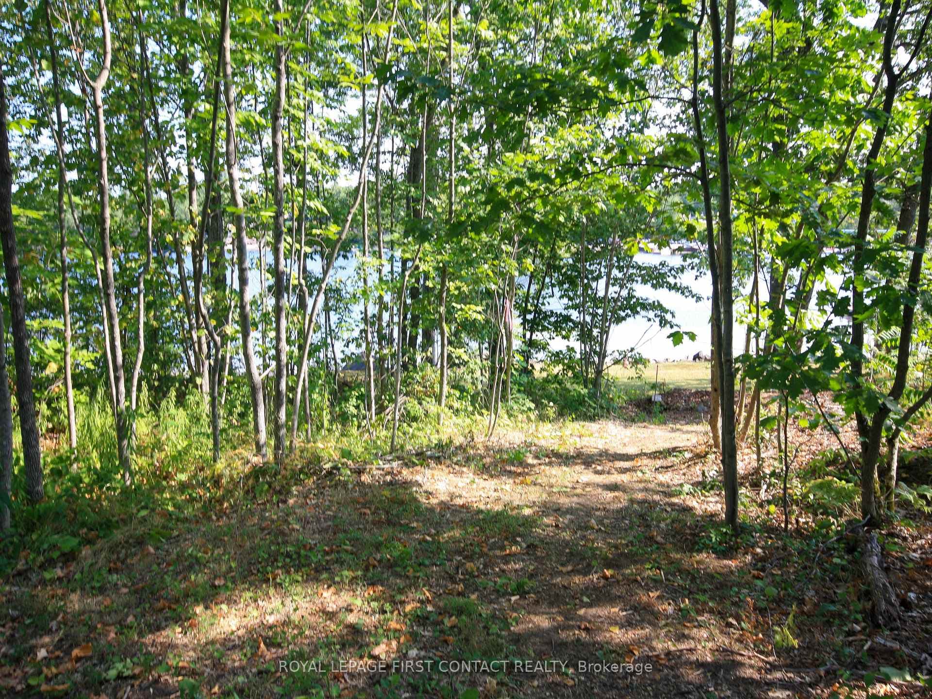213 Birch Acres Drive photo 29