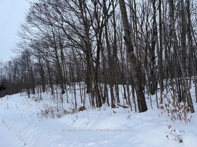 000 Whitefish Lake Road photo 3